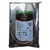 Seagate 4TB ST4000NE001 IronWolf SATA PRO NAS 7200RPM 256 MB 3.5" HDD NEW