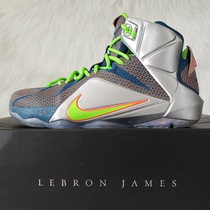 lebron 12 miami dolphins