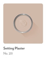 FARROW & BALL PAINT  SAMPLE 10ML - SETTING PLASTER # 231 ESTATE EMULSION 