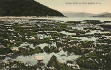 PC AUSTRALIA CORAL REEF OUTSIDE CAIRNS N. Q., Vintage Postcard (b53855)