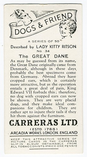 GREAT DANE CARRERAS 1936 ISSUE DOG & FRIEND SERIES OLD CIGARETTE CARD #34 - Picture 2 of 2