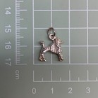 Foto 2 di 3