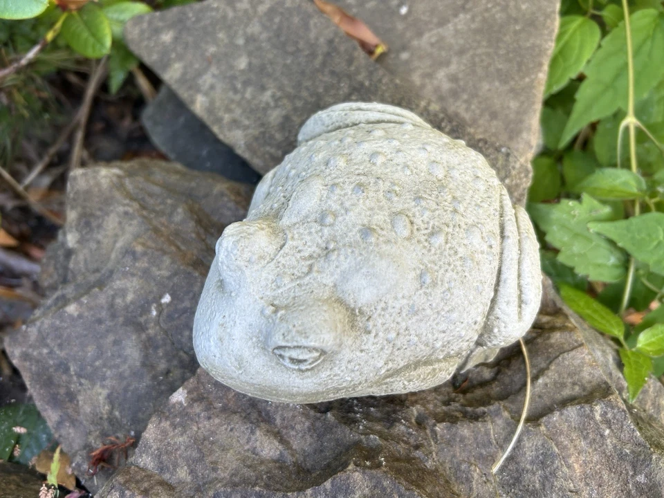 Small Stone Bullfrog Garden Ornament - Pond Statue Frog Toad Decoration Gift - Image 4 of 4