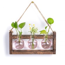 Plant Propagation Station with Wood Stand - Wall Glass Terrarium for Cuttings...