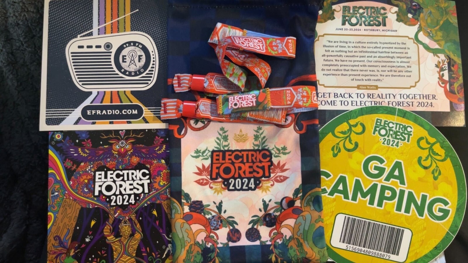 Electric Forest GA 2024, 4 Day Music Festival Ticket (wristband) eBay