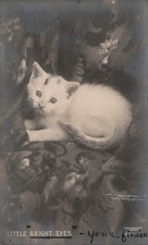 Antique Cat Illustration Fancy Kitten Sentimental Animal Photo Vtg Postcard I64