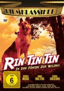 Rin Tin Tin: In den Fängen der Wildnis von Bernard B... | DVD | Zustand sehr gut