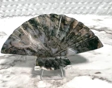 Mini Druzy Moss Agate Fan