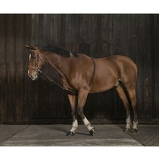 Norton Gentle Stretching Trainingshilfe