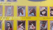 Vintage Craft Master Paint By Number Sealed Stallions 1963 Oil 12 Colors K-43