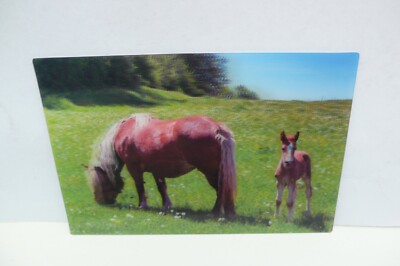 ANSICHTSKARTE 3 D PFERD PFERDE FOHLEN HORSE ANIMAL CARD TIER KARTE AK ZOO CARTE 