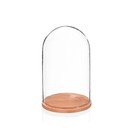 Medium Glass Display Cover Dome Cloche With Natural Beech Base Height 30 x 20 cm
