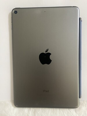 Apple iPad mini 5 Wi-Fi＋Cellular 256GB Amazon.com : Apple iPad Mini 5th Generation (Wi-Fi +