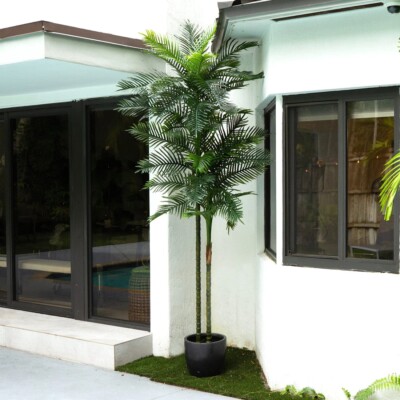 10  Artificial Double Robellini Palm Tree UV (Indoor/Outdoor). Retail $299