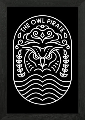 The Owl Pirate Framed Wall Art Poster Canvas Print Picture