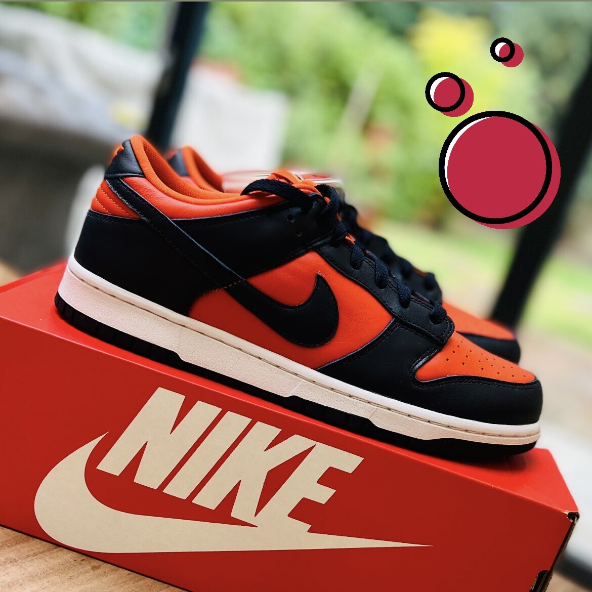 Nike Dunk Low “Champ Colours” UK US Brand new Ready