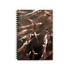 Spiral Notebook - Ruled Line - Prairie