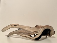 Manzanita Driftwood, Reptile Tank Decor, Aquascape, Terrarium, Aquarium Wood