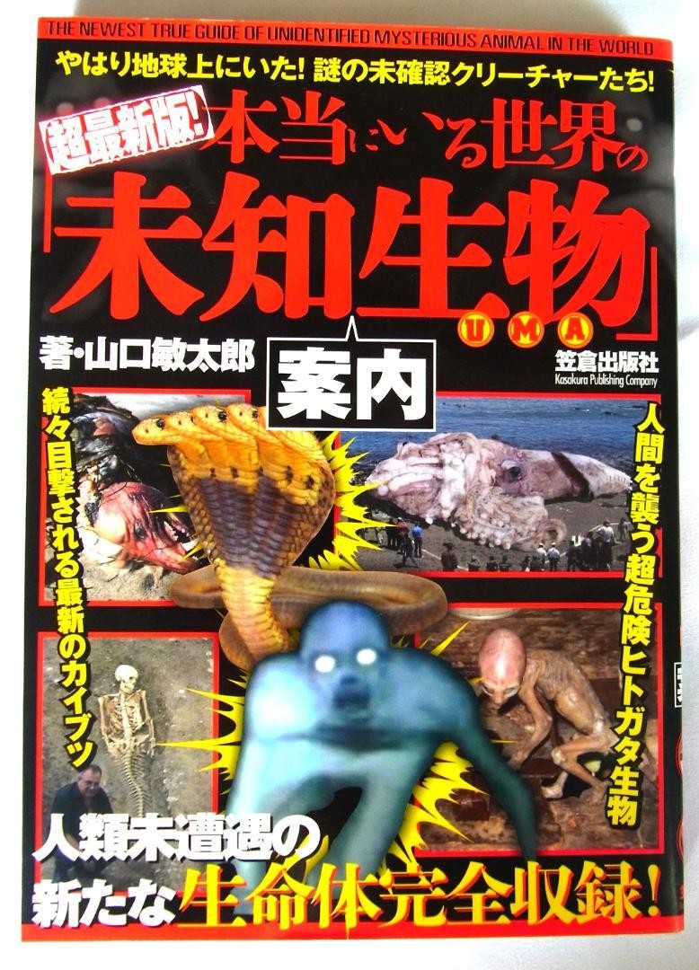 Foto 1 di 4
