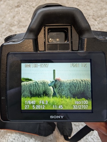 Sony DSLR A290 Camera with Sony SAL75300 75-300mm Lens Working - Picture 13 of 14