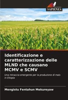 Mengistu Fentahun Mekureyaw | Identificazione E Caratterizzazione Delle Mlnd...