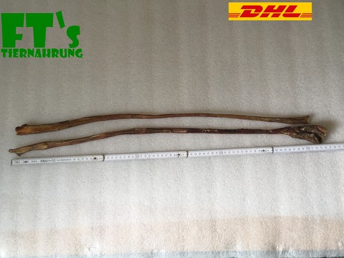 Ochsenziemer 80-219g, 60-70cm, Kausnack, Leckerli, Barfen, FT's Tiernahrung - Bild 4 von 24