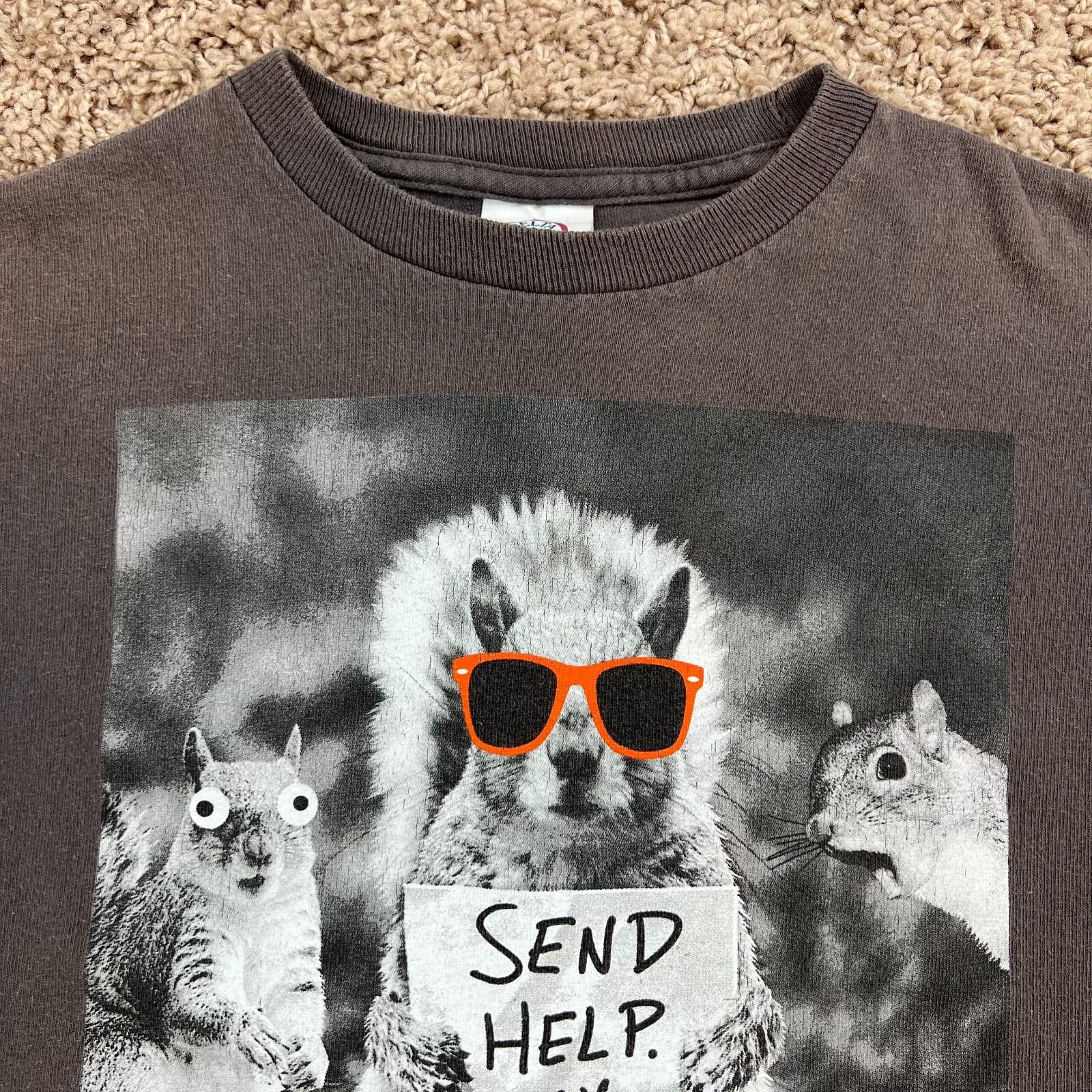 Picture 5 of 17