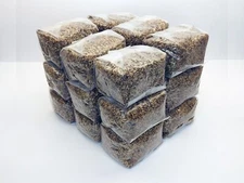 18 x 1 lb. Sterilized Rye Berries Mushroom Substrate Bags for Grain Spawn