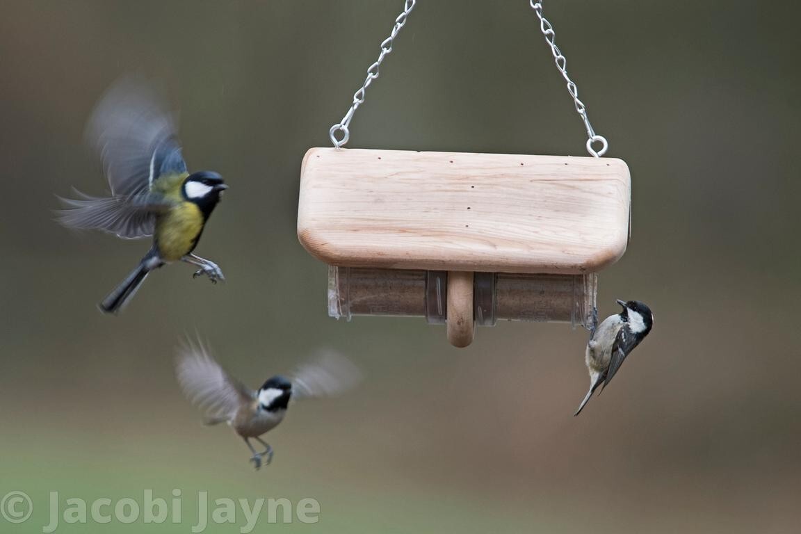 Bild 8 von 14