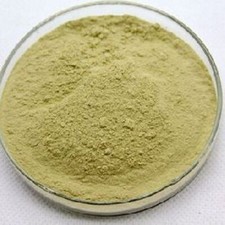 Panax Ginseng Extract 20% Ginsenosides Fine And Good Quality Free Ship 250 Gram