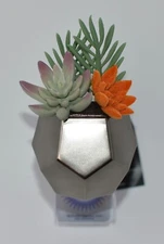 BATH & BODY WORKS GEO SUCCULENT NIGHT LIGHT UP WALLFLOWER FRAGRANCE PLUG HOLDER