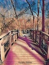 Digital Photography Download/Printable Wall Art/Instant Download