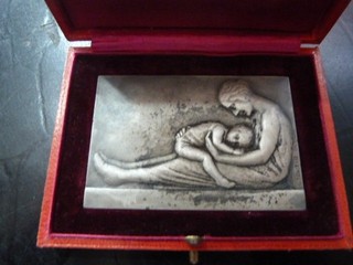 PLAQUE bronze argente ORPHELINAT ENSEIGNEMENT PRIMAIRE 72/49 mm dans sa boite