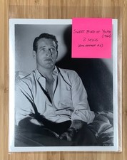 2 Sweet Bird of Youth (1962) original movie still lot # 2 Paul Newman portraits