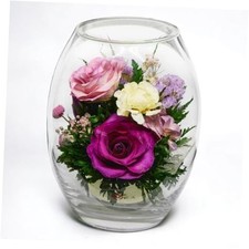 Fiora Flower  Long Lasting Real Roses in a Sealed Vase  Lasts up to 5 Zephyr
