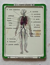 Placca metallo IL CORPO UMANO nr. 4 gadget Corriere dei Piccoli 1972/73