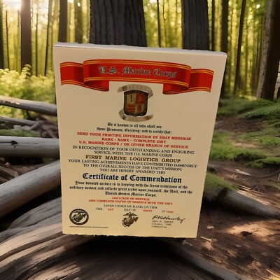 U.S. MARINE CORPS / 1ST MARINE LOGISTICS GROUP - CERTIFICATE OF COMMENDATION