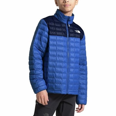 The North Face Boys' ThermoBall Eco Jacket. size M/M 10/11 blue
