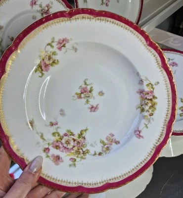 Limoges Porzellan Teller (je ein Speiseteller + Suppenteller)