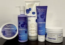 Bath & Body Works WELLNESS COLLECTION BLUEBERRY EXTRACT Hair Mask~Scrub~Wash~ETC
