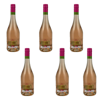 Vescovino Hugo Rosé, Fruchtig, Sortenreines Weinpaket (6X0,75L)