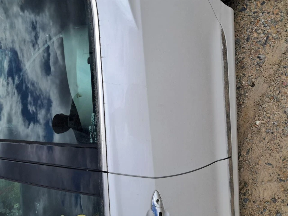 Puerta trasera del conductor eléctrica con parasol compatible con 12-17 AZERA 2641040 Foto 2 de 4