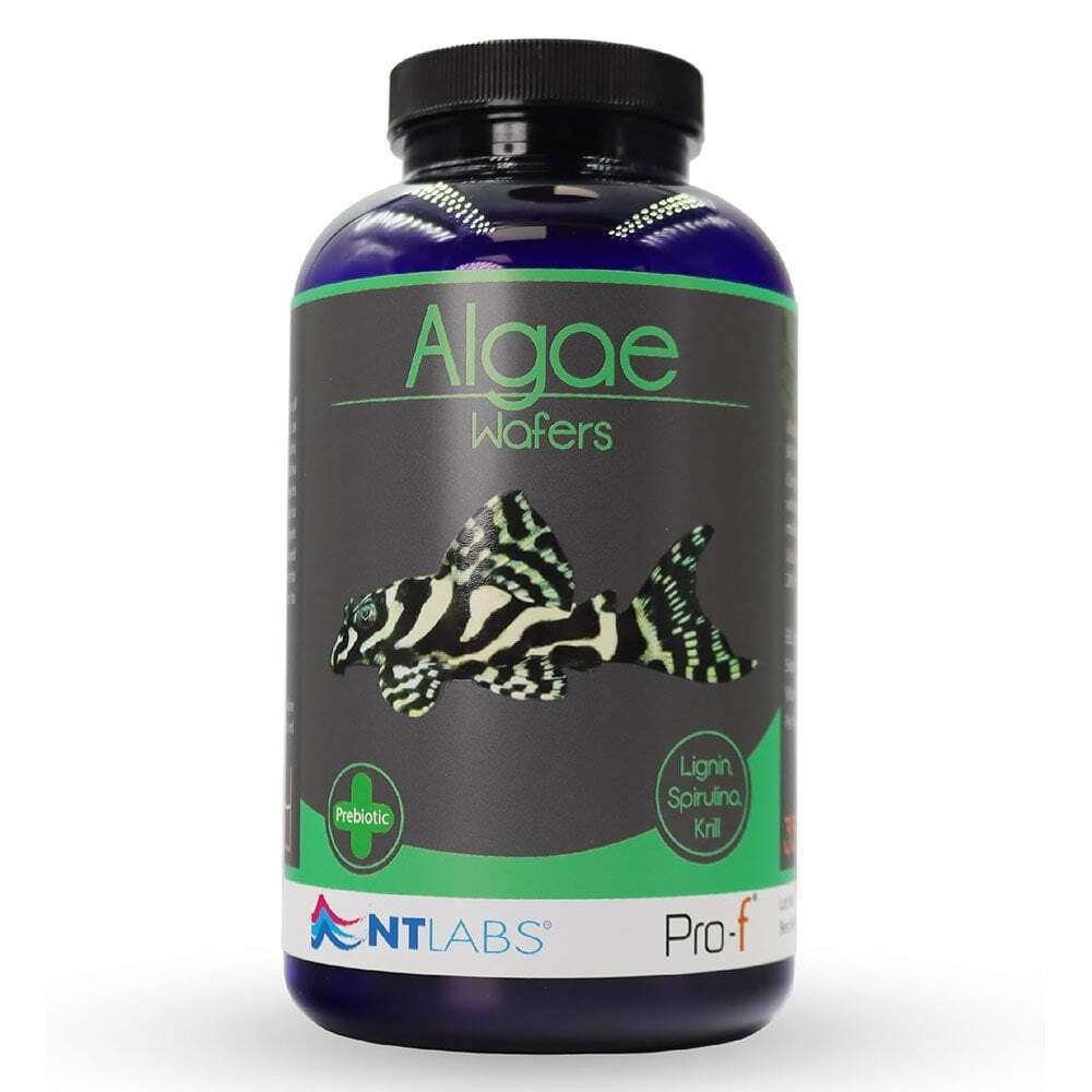 NT Labs Pro-F Algae Wafers Aquarium Fish Food