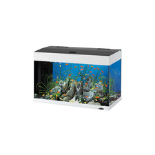 Acquario Ferplast Dubai LED 80 125 Lt 81x36x51h cm bianco