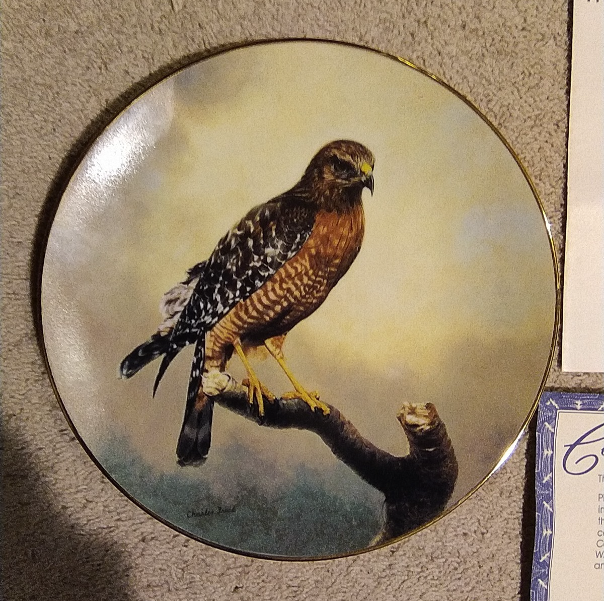 Bradford Exchange Red-Shouldered Hawk Soaring Majesty Plate by Charles Frace