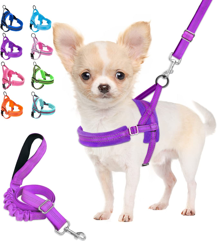 Dog Harness and Leash Set, Soft Padded Small Dog Harness, Neck & Chest Adjustabl
