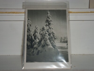 GERMAN POSTCARD    LOT  H