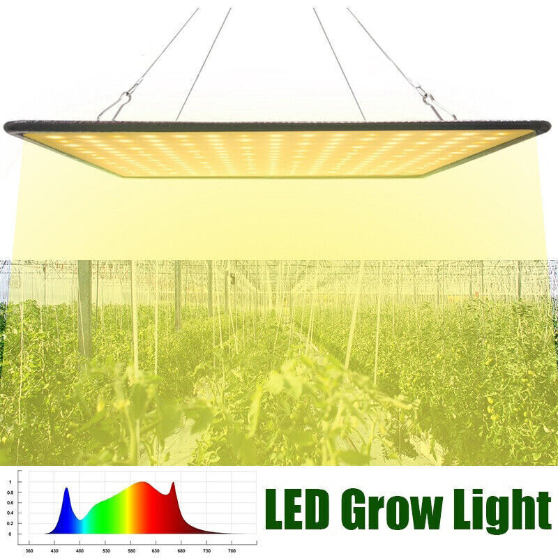 1000W LED Grow Light Full Spectrum Samsung For Indoor Veg Bloom Plant Growth eBay