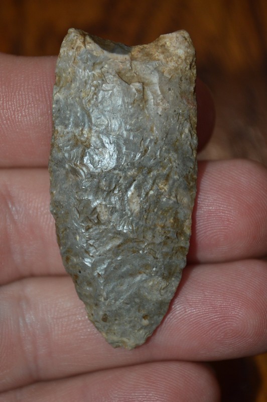 Blue Galena Chert Upper Valley Dalton Ogle Co, Illinois 2 x 1 Rare Type