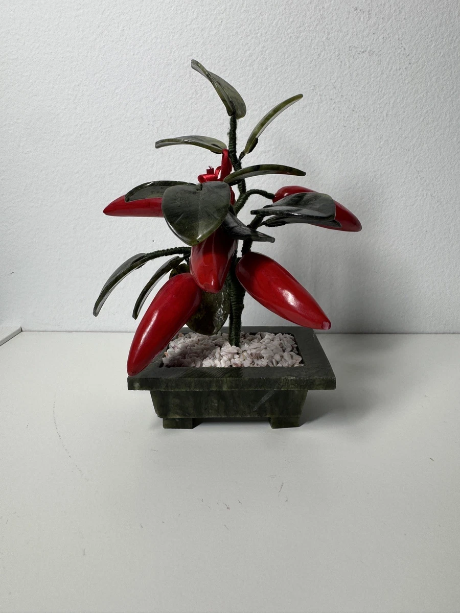 Bonsai Chili online kaufen | eBay